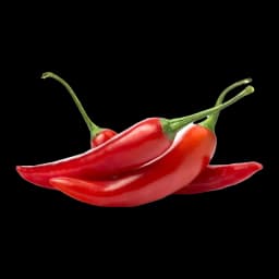 فلفل أحمر طازج- كغم 1.0