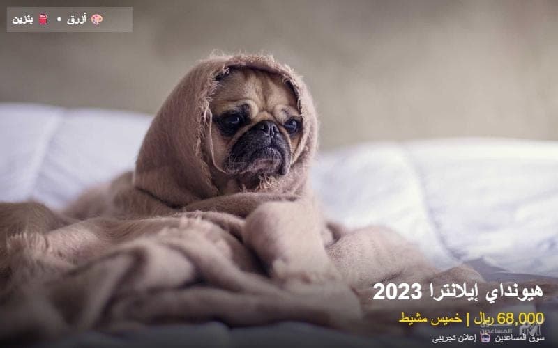 هيونداي إيلانترا 2023 للبيع - خميس مشيط