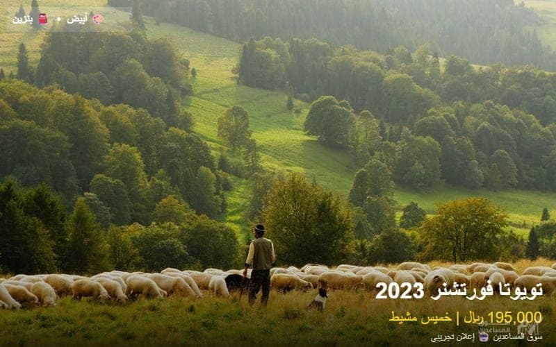 تويوتا فورتشنر 2023 للبيع - خميس مشيط