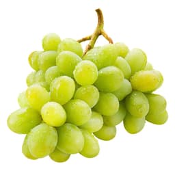 عنب