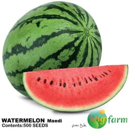 بطيخ