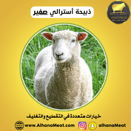 ذبيحة خروف أسترالي صغير