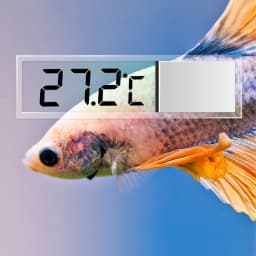 حوض السمك ميزان الحرارة الإلكترونية LCD الرقمية خزان الأسماك قياس درجة الحرارة خزان الأسماك درجة الحرارة متر حوض السمك الملحقات 1 قطعة