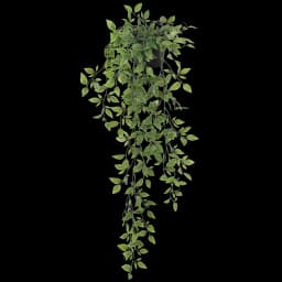 راسكاس نبات صناعي معلق، أخضر