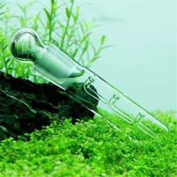 الزجاج الاكريليك الحلزون علقة فيفاريوم الآفات الصيد فخ الروبيان دودة Planaria الماسك خزان الأسماك حوض السمك الملحقات