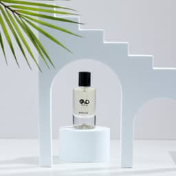 عطر MAYOR
