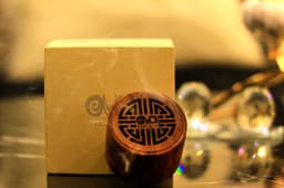 مبخر γ جاما كار ( مبخر السيارة )