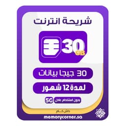 شريحة انترنت داش كام 30 جيجا لمدة 12 شهر