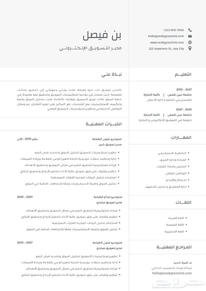 تصميم سيره ذاتيه cv — صورة 2