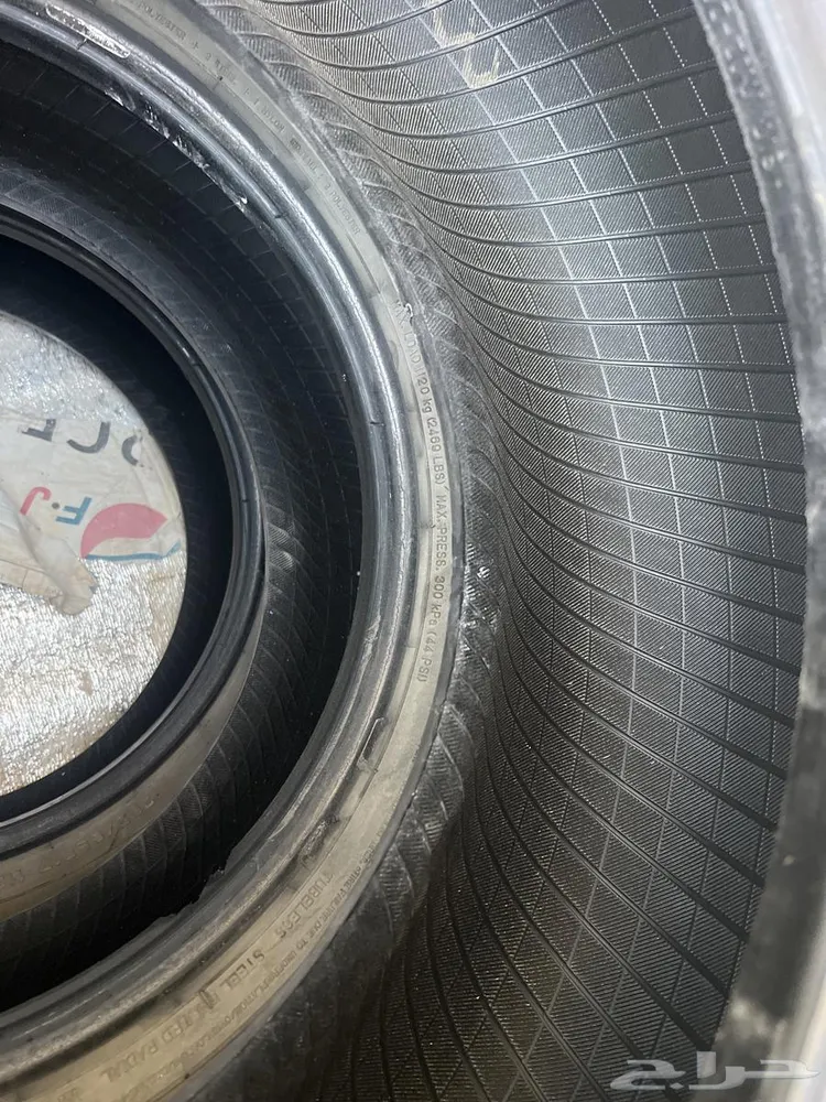 بريده — صورة 3