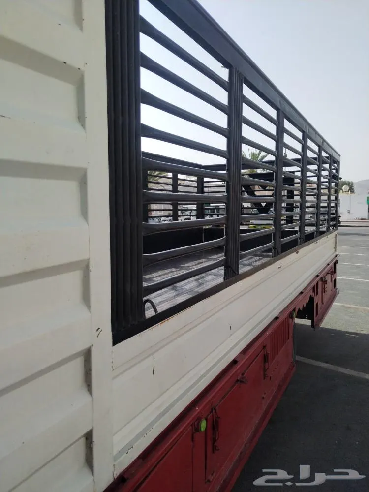 دينا دينه سته متر نجران الجامعه