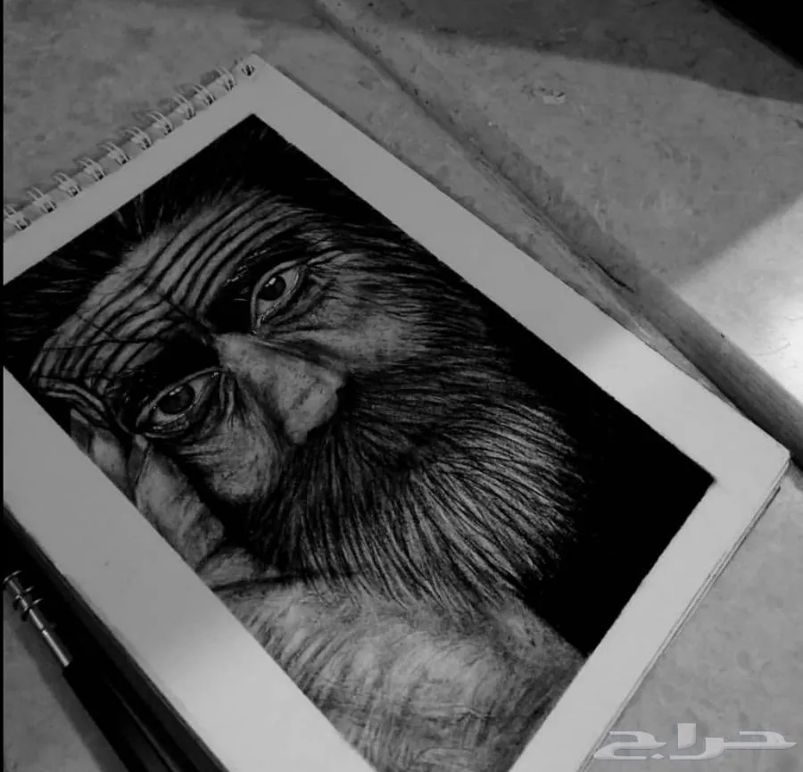 رسم — صورة 3