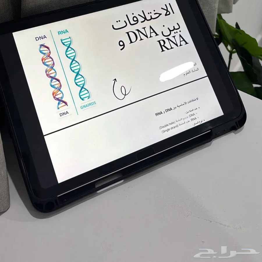 خدمات الكترونية ومشاريع طلابية — صورة 2