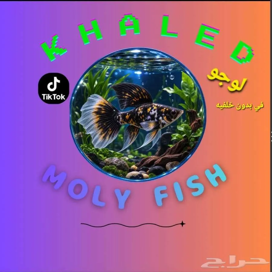تصاميم (بوسترات شهادات ولوجو وفيديو AI) — صورة 4