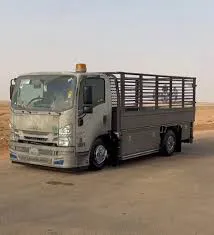دينا نقل عفش