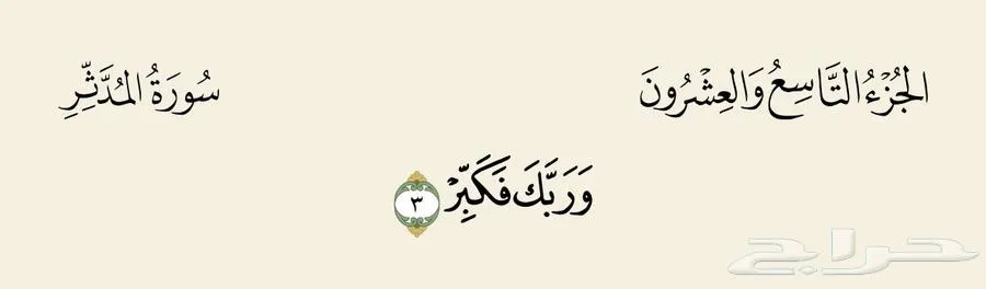 تصميم مواقع إلكترونية احترافية