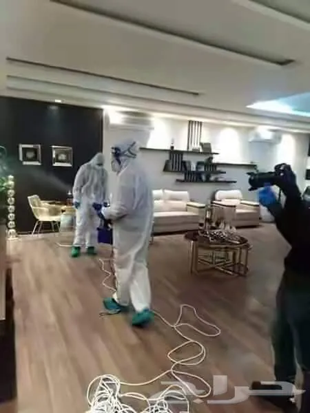 شركة تنظيف مجالس كنب سجاده تنظيف فلل شقق منازل مكافحه حشرات — صورة 3