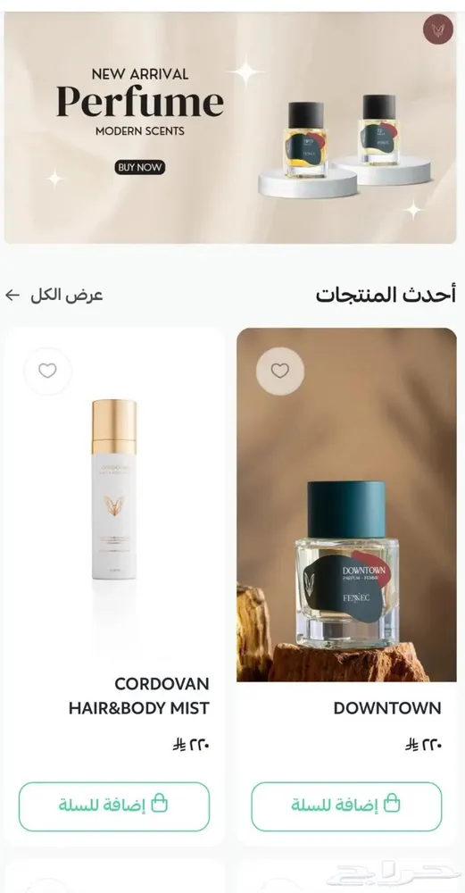 مصمم متاجر سله — صورة 2