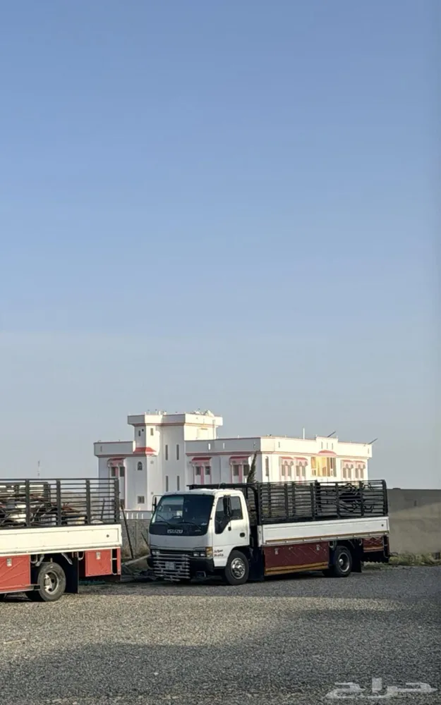 دنه نقل عفش — صورة 3
