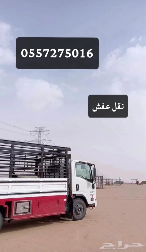 دينه نقل عفش دنه نقل عفش نقل عفش جميع المناطق — صورة 3