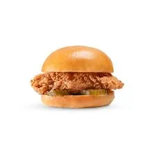 مقصدر تشكن