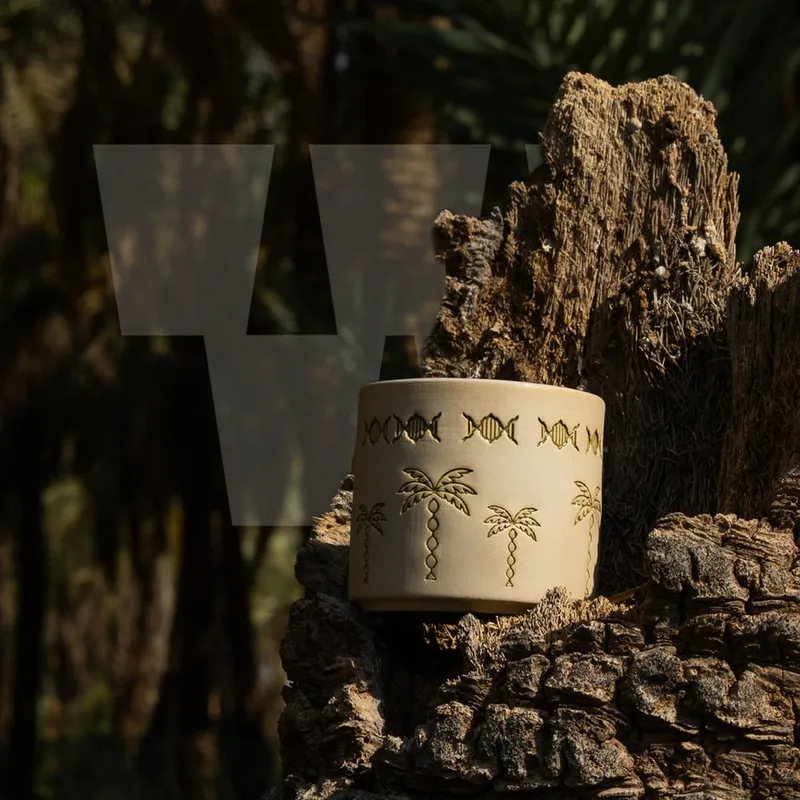 كوب النخيل - 250ml