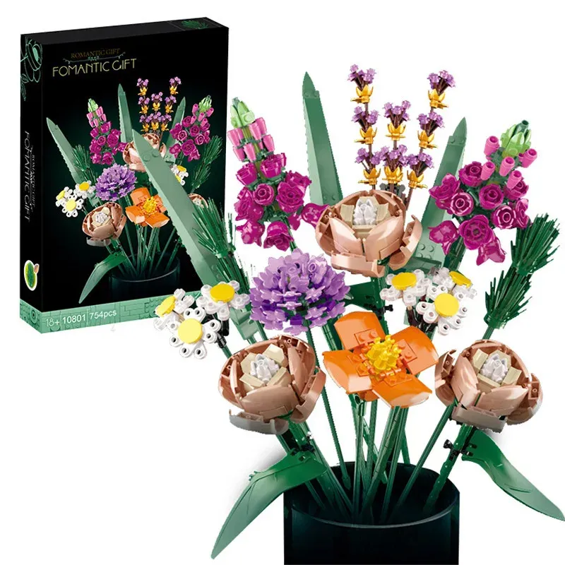 صورة 4