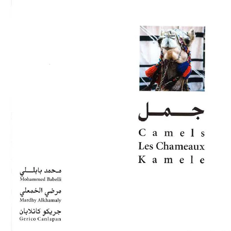 صورة 3
