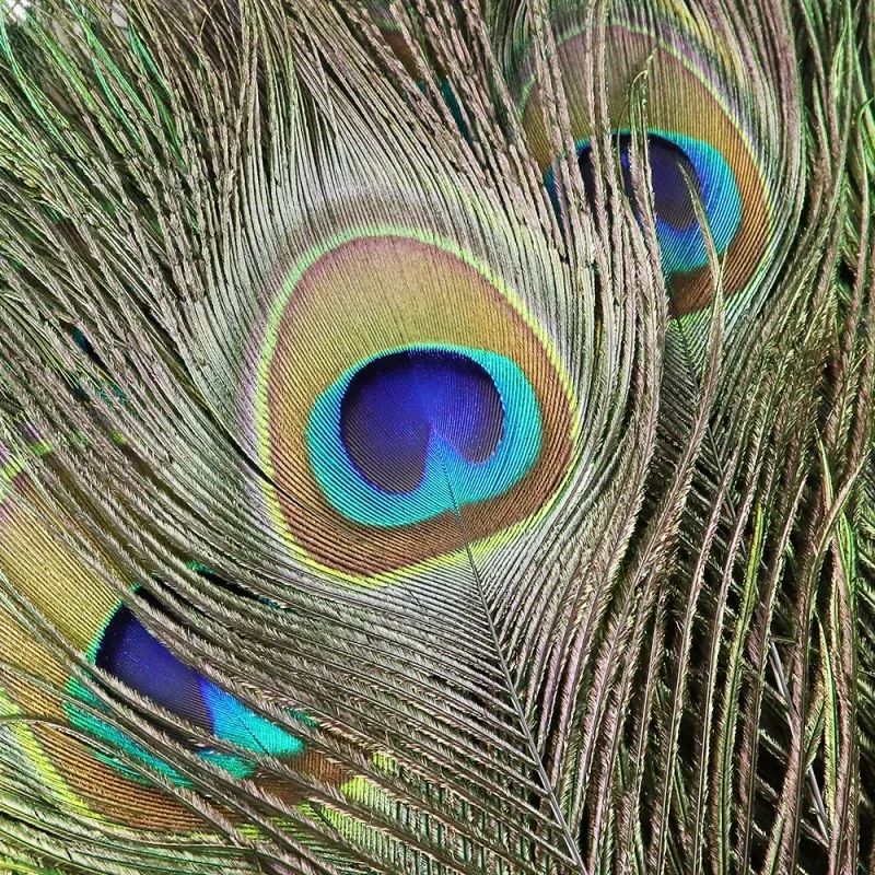 صورة 2