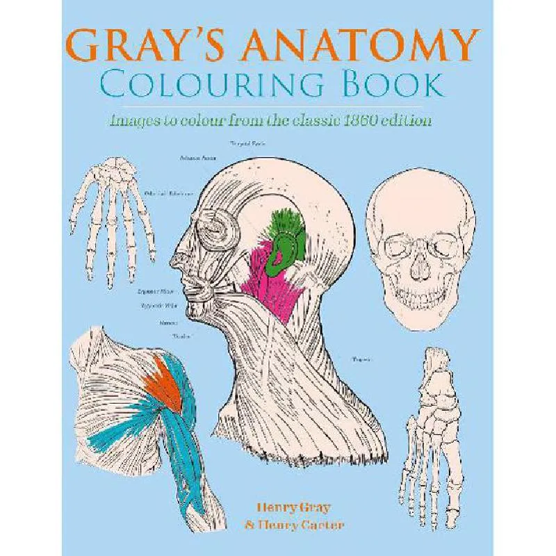 Gray's Anatomy Colouring Book (Arcturus Creative Colouring) - Images to Colour from The Classic 1860 Edition
