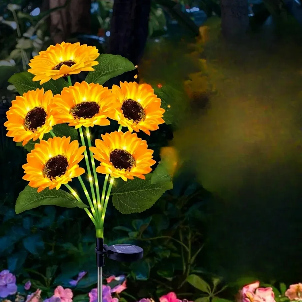 صورة 3