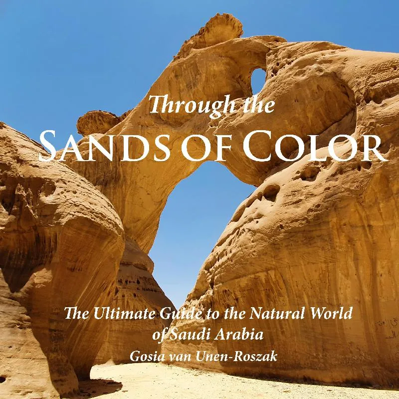 Through The Sands of Color