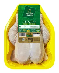 دجاج مبرد طازج
