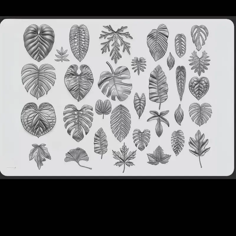 صورة 2