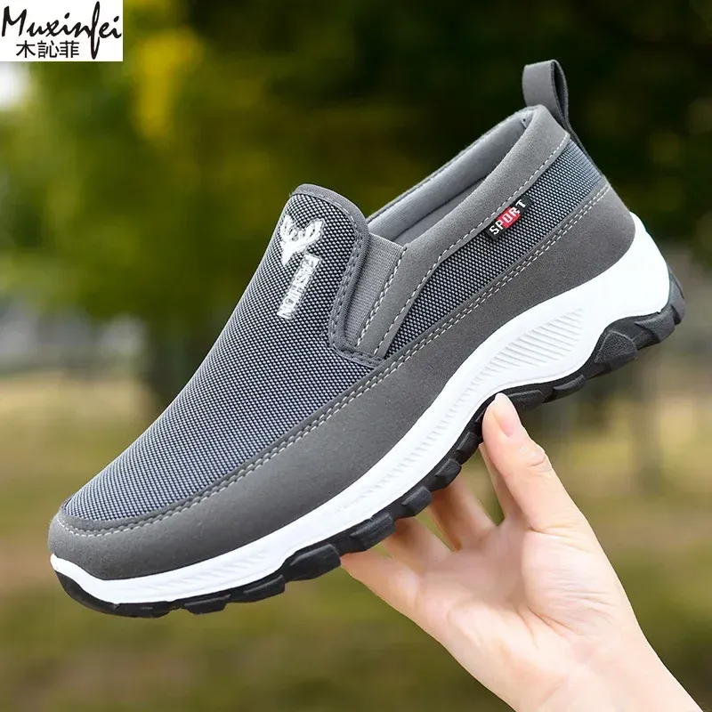 صورة 2