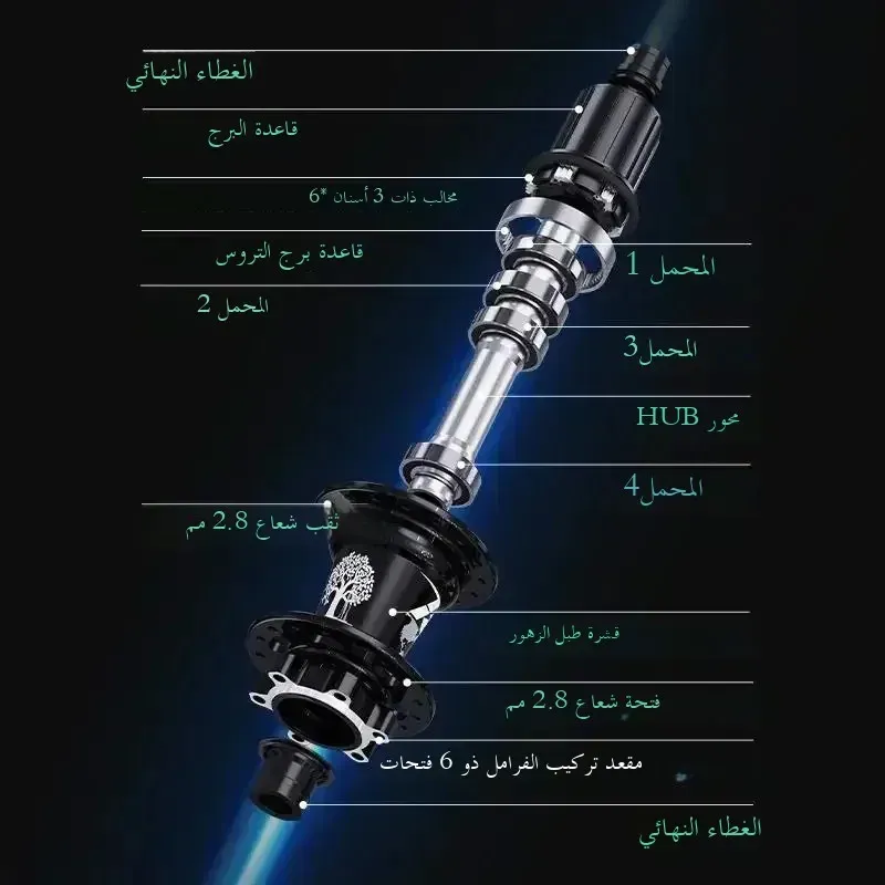 صورة 4