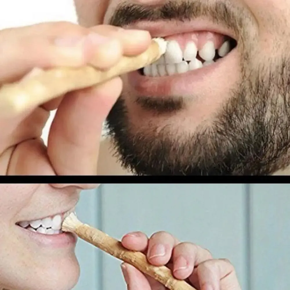 صورة 2
