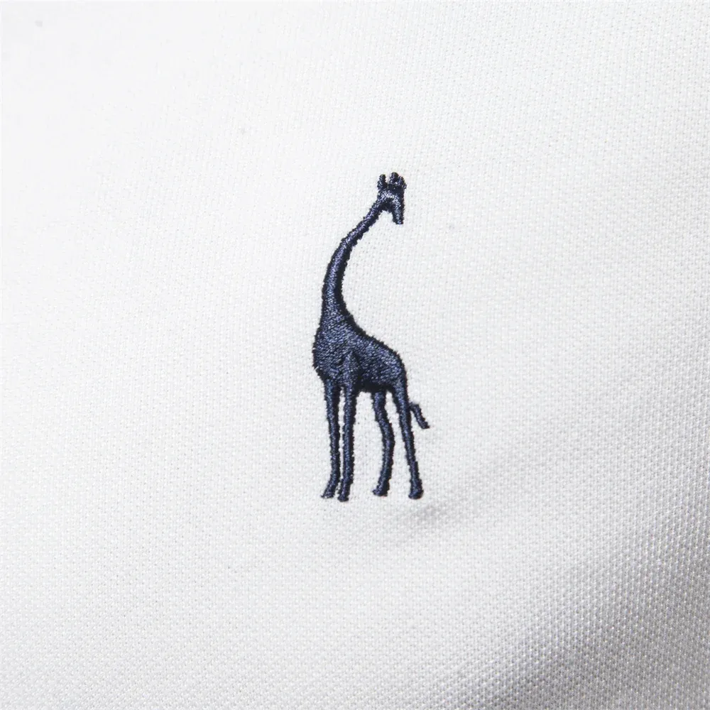 صورة 5