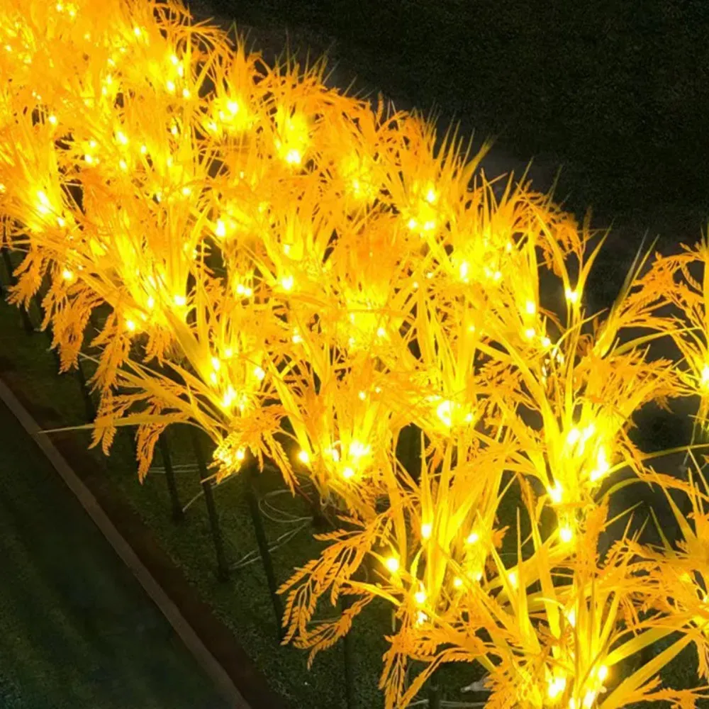 صورة 2