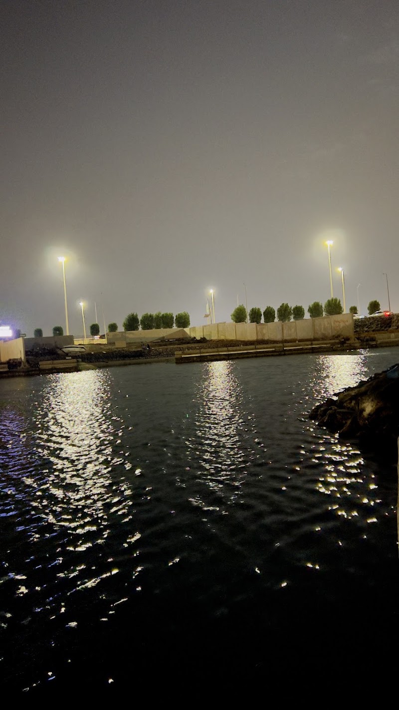 صورة لافونتين